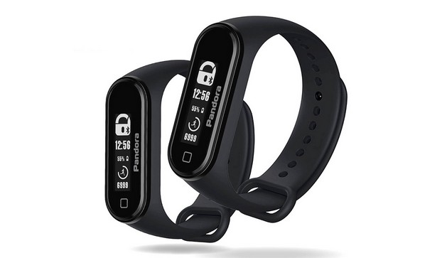 Pandora Band